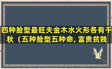 四种脸型最旺夫金木水火形各有千秋（五种脸型五种命, 富贵贫贱各不同, 看你属于哪一种）